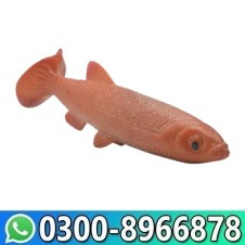 Buy Realistic Rubber Fish Toys In Pakistan