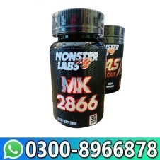 Mk 2866 Supplement In Pakistan